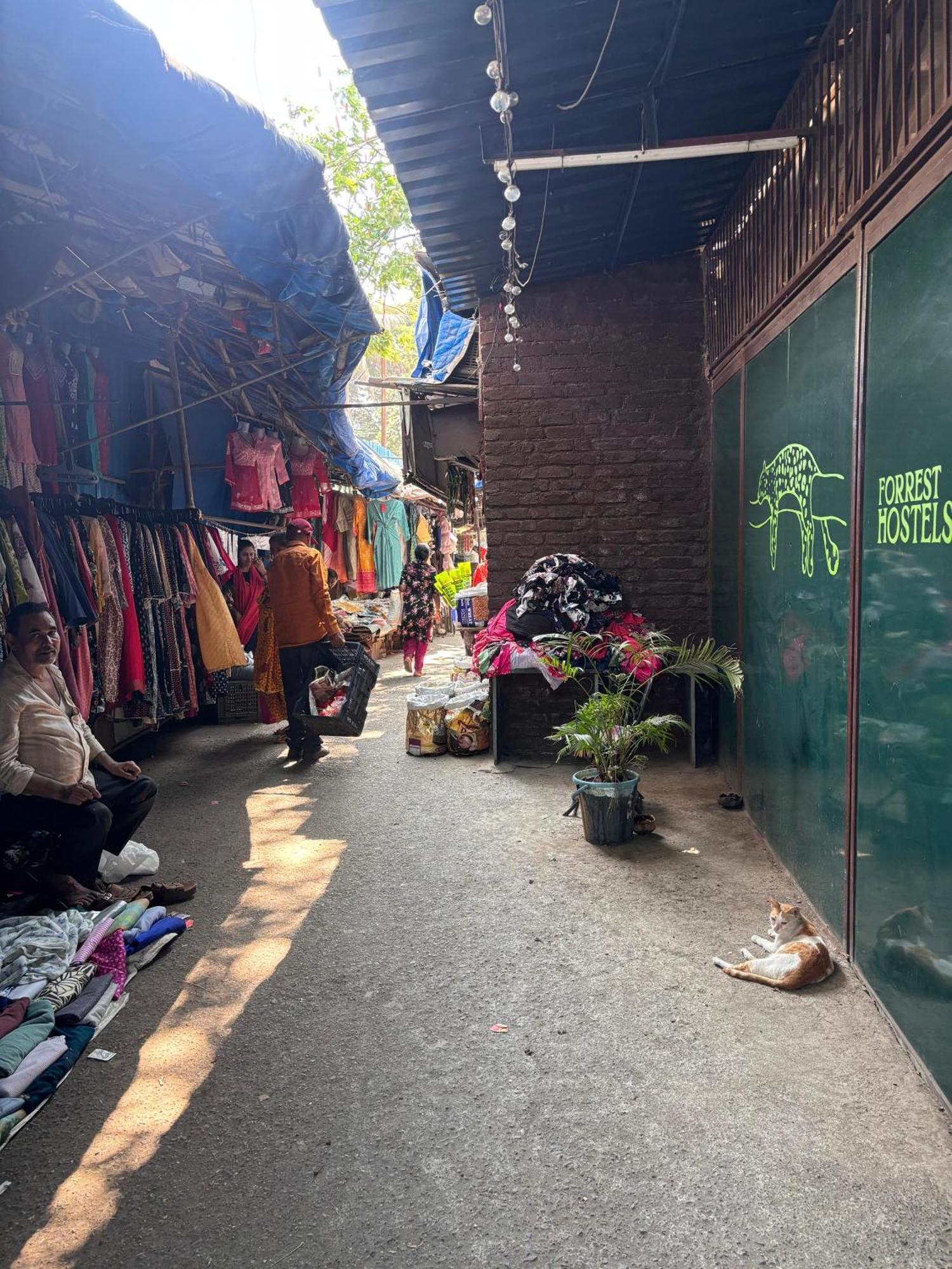 Forrest Hostels Mumbai Bagian luar foto