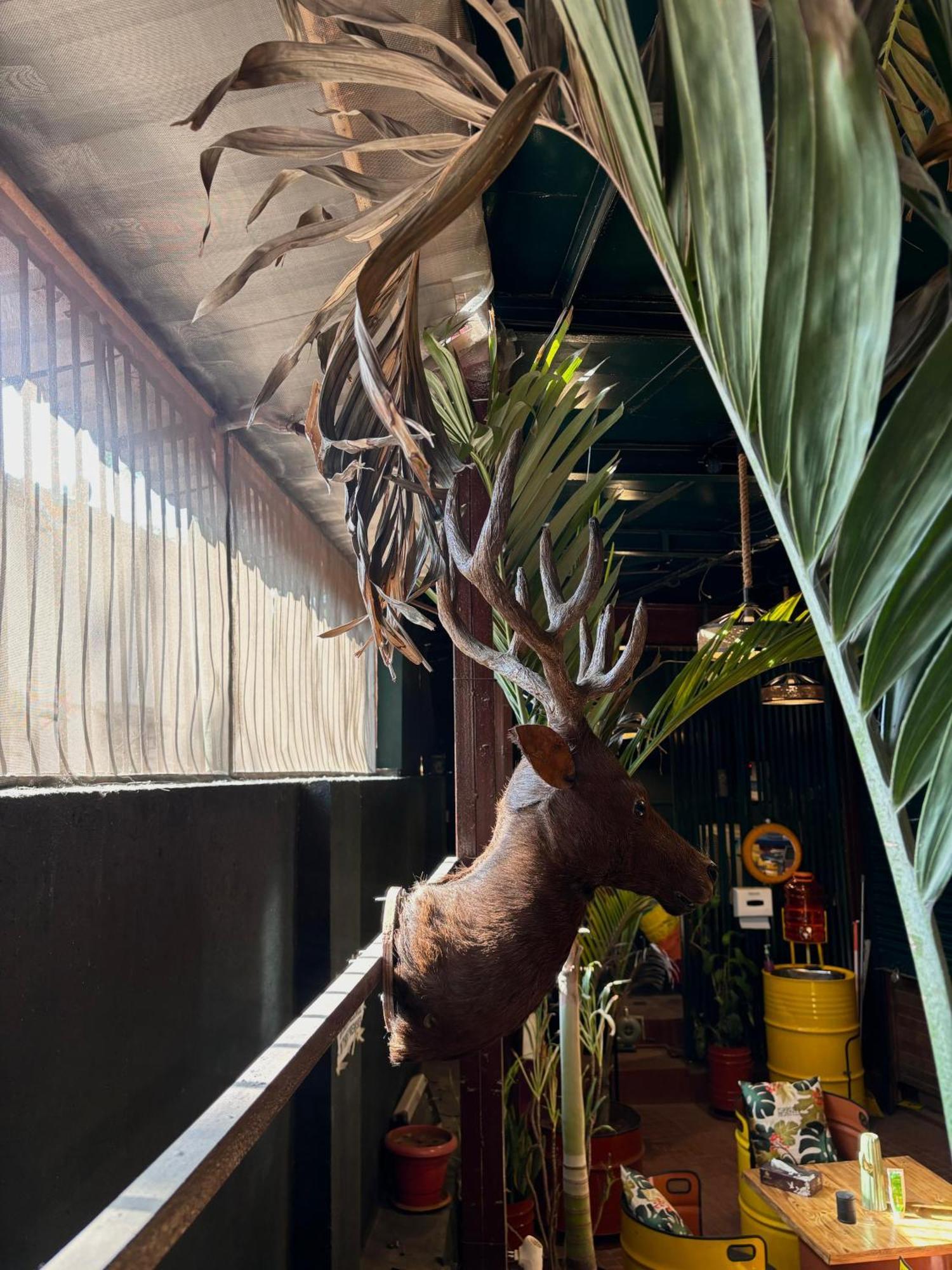 Forrest Hostels Mumbai Bagian luar foto